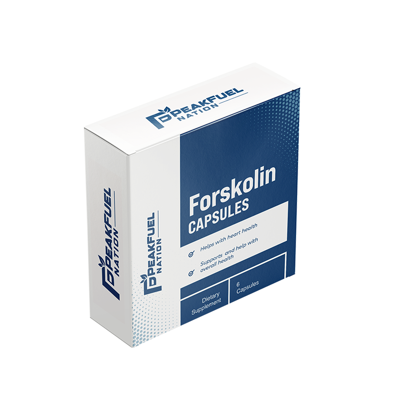 Supplement