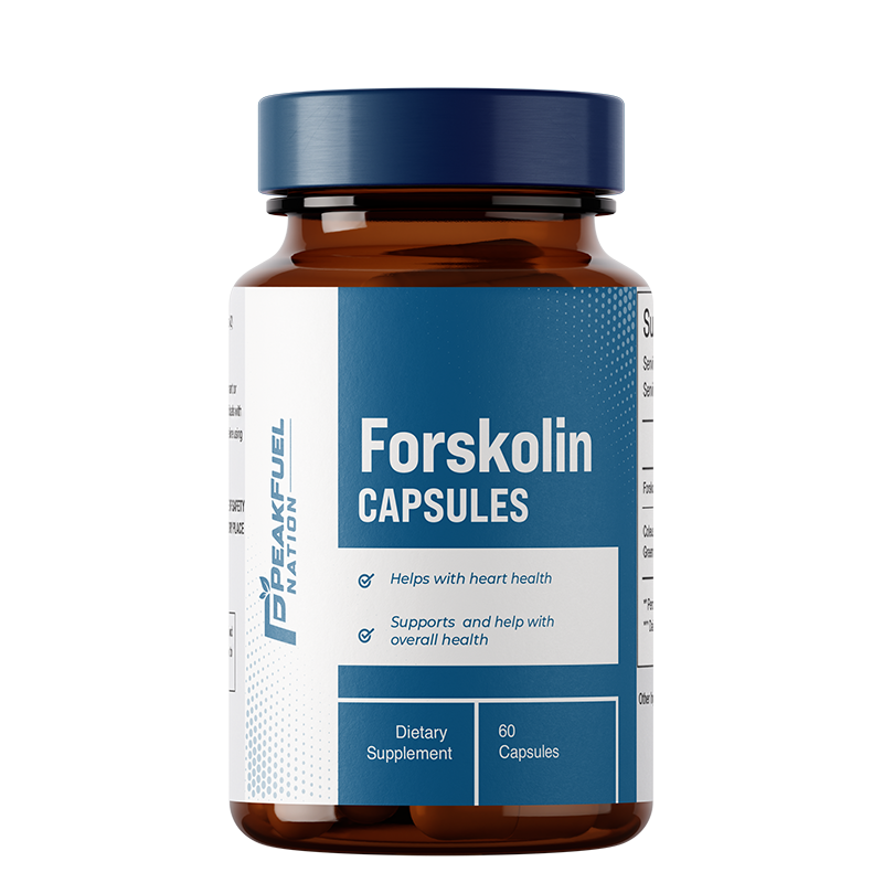 Supplement